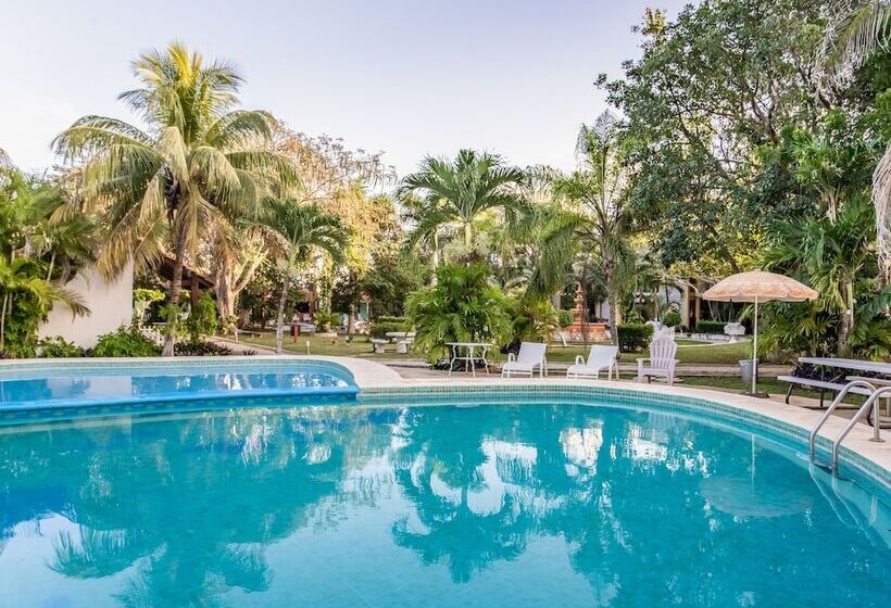 标准间, Hacienda Sánchez