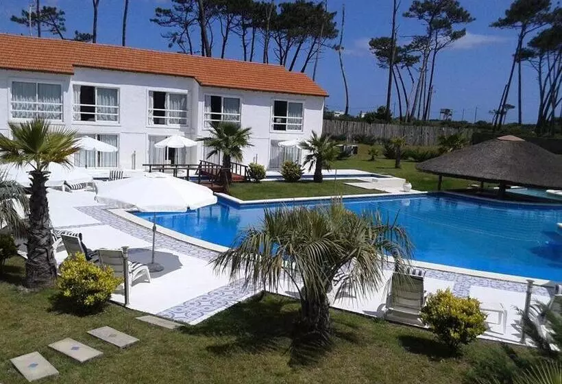 سوییت سوپریور, Punta Del Este Arenas