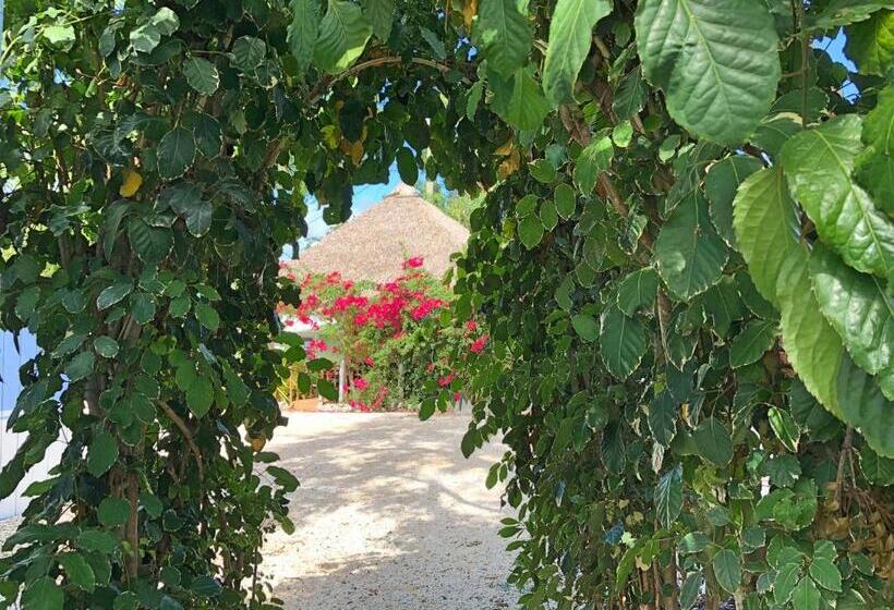 Номер Basic, The Pelican Key Largo Cottages