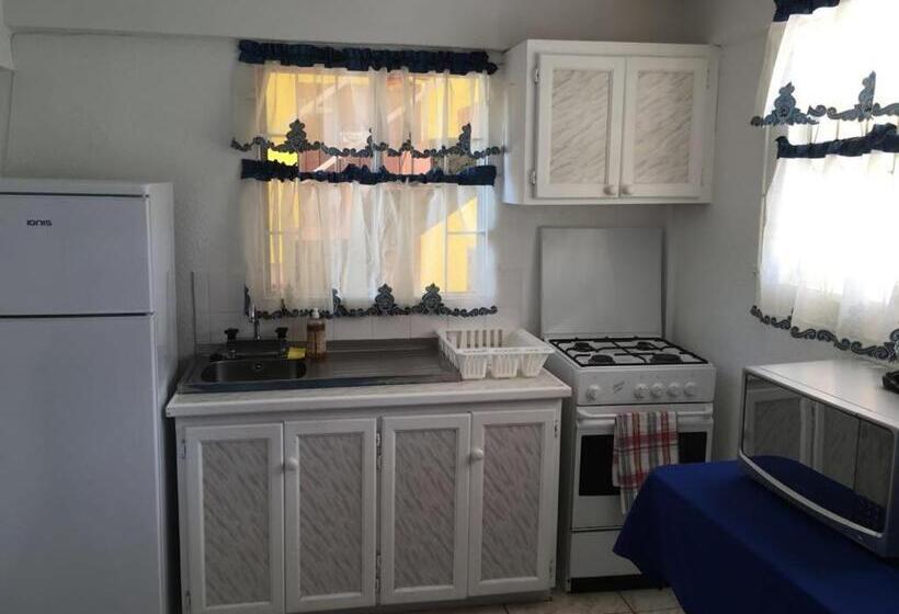 آپارتمان 1 خوابه با بالکن, Paradise Beach