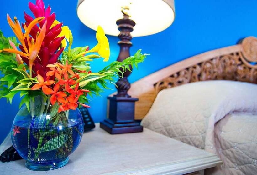 اتاق سوپریور با چشمانداز دریا, Paradise Beach