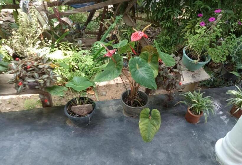 غرفة قياسية مطلّة علي الحديقة, Myro Cottage