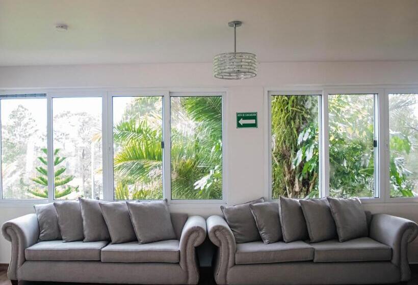 اتاق لوکس, Cocoview Valle De Angeles