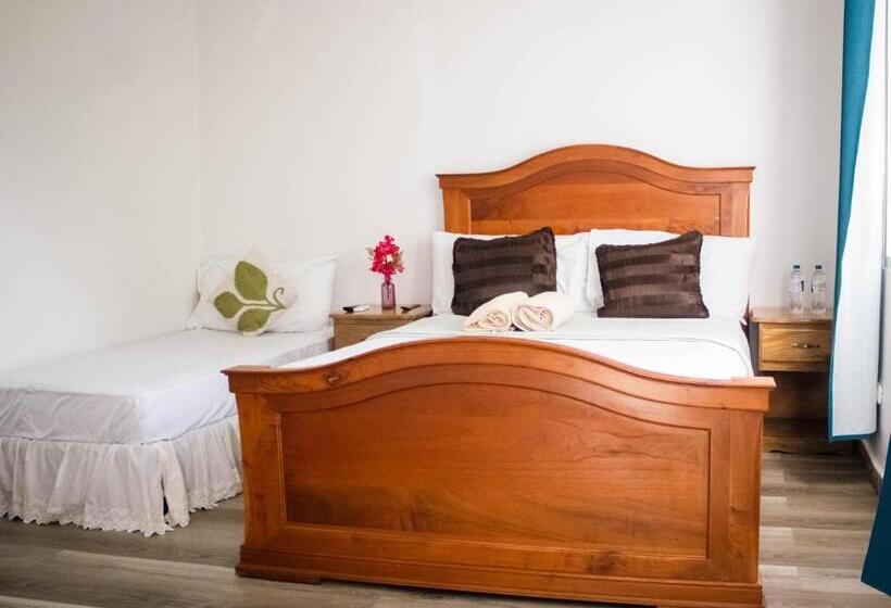 اتاق لوکس, Cocoview Valle De Angeles