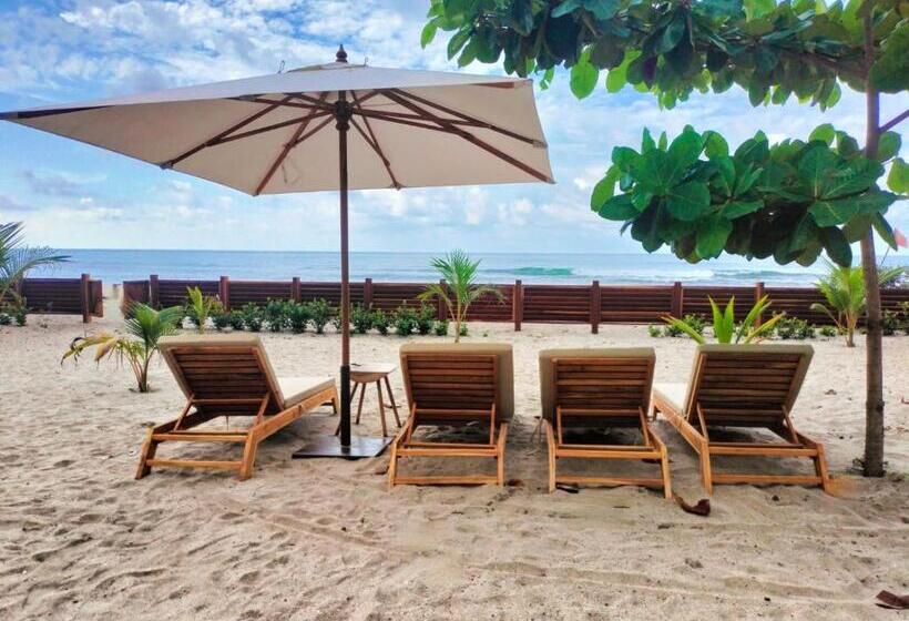 オーシャンビューファミリールーム, Gaelia