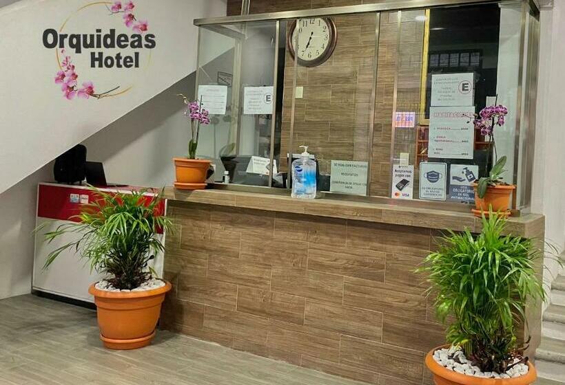 スタンダードシングルルーム, Orquídeas