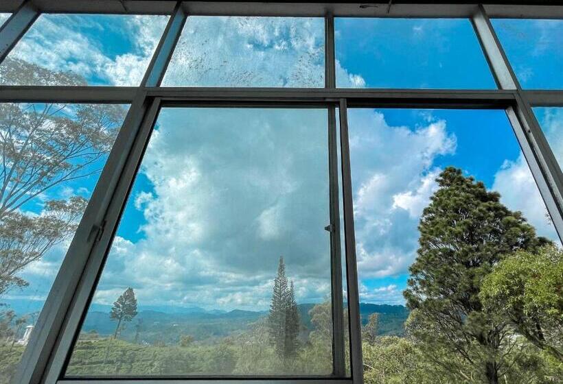 Quarto Estandar, Hillcrest Haputale