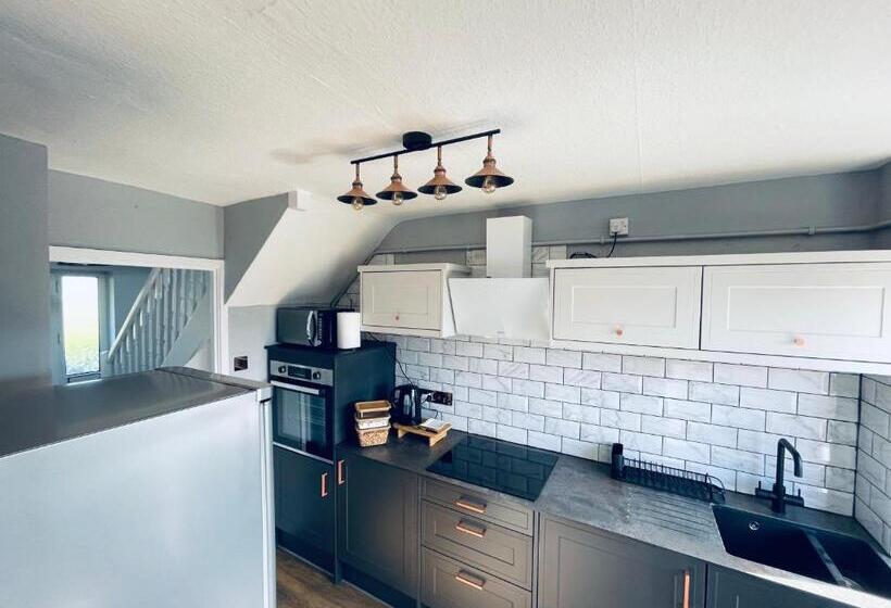 スタンダードルーム, Ii Comfortable Room, Shared House