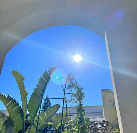 Апартаменты Deluxe 1 Спальня, La Casa Di Sale Luxury Location For Kite Lovers