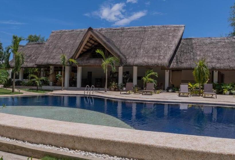 اتاق استاندارد با چشم‌انداز استخر, The Mayana Resort