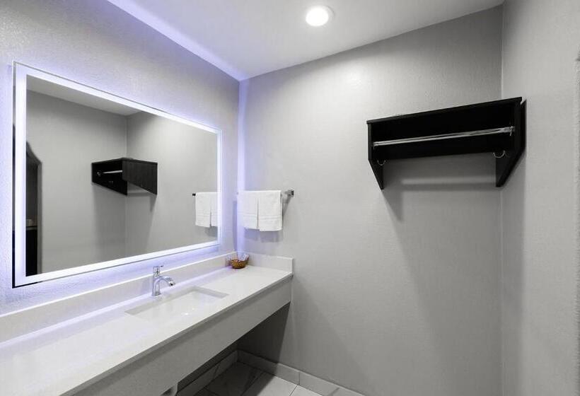 غرفة قياسية, Downtowner Inns Houston Downtown & Convention Center