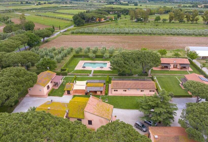 带1个卧室的高级公寓, Isolotto   Appartamento Leccio