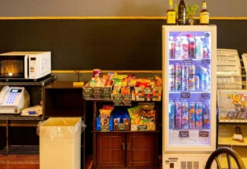 スタンダードスタジオ, Nissin Kaikan Vacation Stay 02330v