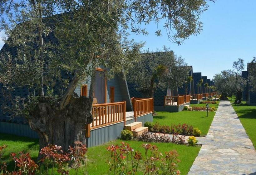 بانگلوی لوکس, Verde Blu Bungalow