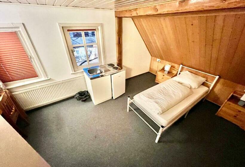 غرفة قياسية فردية, Gepflegtes Gästehaus Steinweg