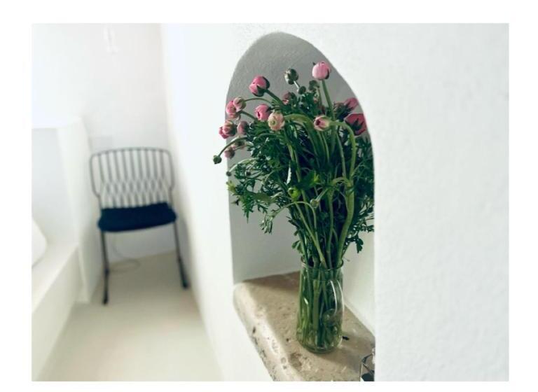 חדר דלוקס, Hydria Guest House Art Gallery