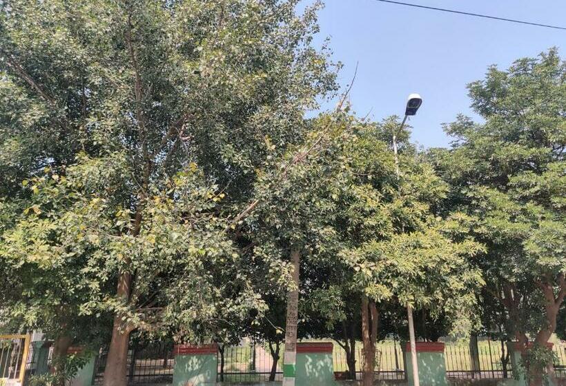 Deluxe Zimmer, Dev Residency