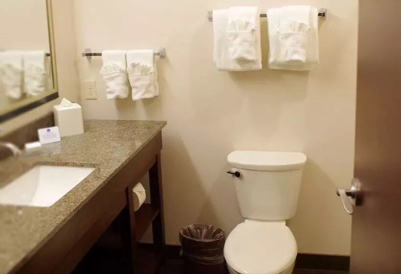 身障者適用スイートルーム, Best Western Plus Lincoln Inn & Suites