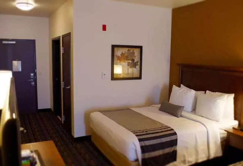 身障者適用スイートルーム, Best Western Plus Lincoln Inn & Suites