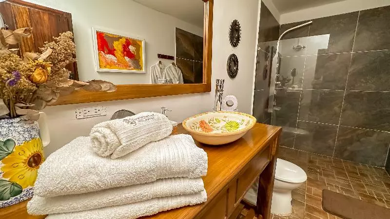 Standard-huone, Boutique Casa De Los Santos Reyes Valledupar