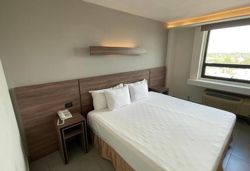 带大床的标准间, El Sembrador