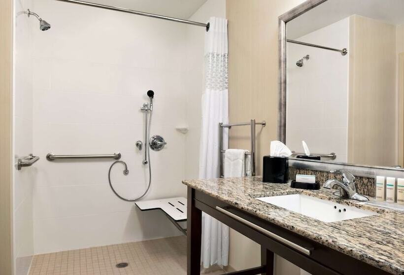 غرفة قياسية لذوى الاحتياجات الخاصة, Hampton Inn & Suites Corpus Christi