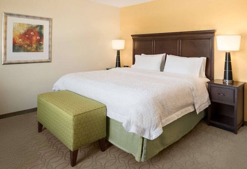 غرفة قياسية لذوى الاحتياجات الخاصة, Hampton Inn & Suites Corpus Christi