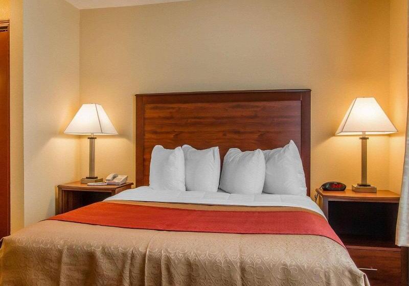 套房, Mainstay Suites Grand Island