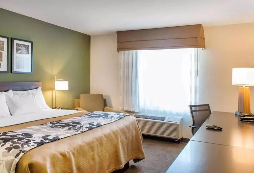 キングサイズベッドのスタンダードルーム, Sleep Inn & Suites Defuniak Springs  Crestview