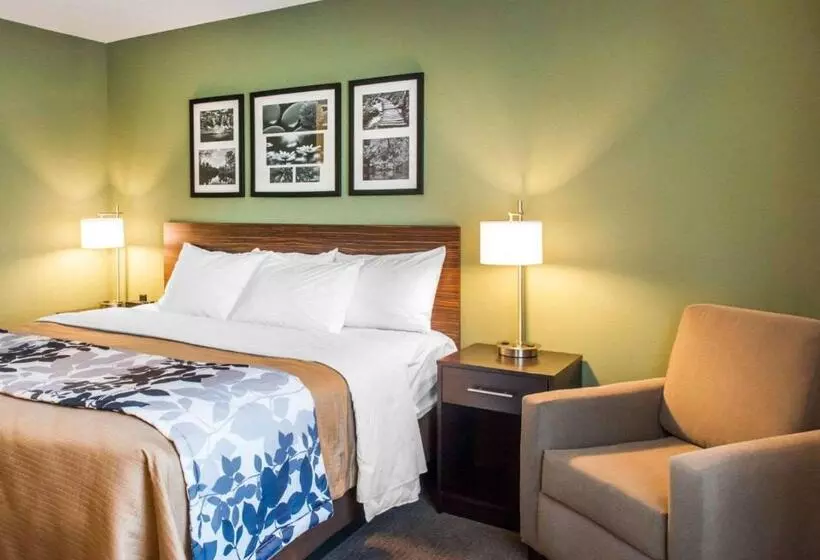 キングサイズベッドのスタンダードルーム, Sleep Inn & Suites Defuniak Springs  Crestview