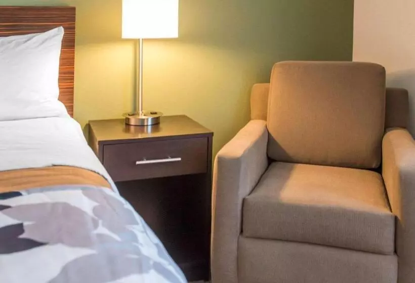 キングサイズベッドのスタンダードルーム, Sleep Inn & Suites Defuniak Springs  Crestview