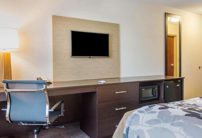 스탠다드 룸 킹사이즈 침대, Sleep Inn & Suites Defuniak Springs  Crestview