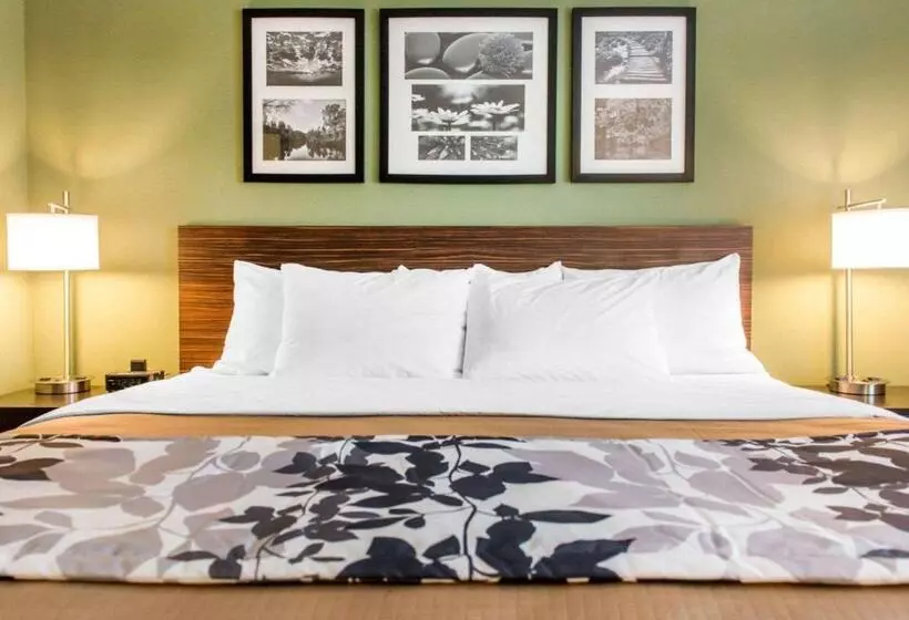 キングサイズベッドのスタンダードルーム, Sleep Inn & Suites Defuniak Springs  Crestview