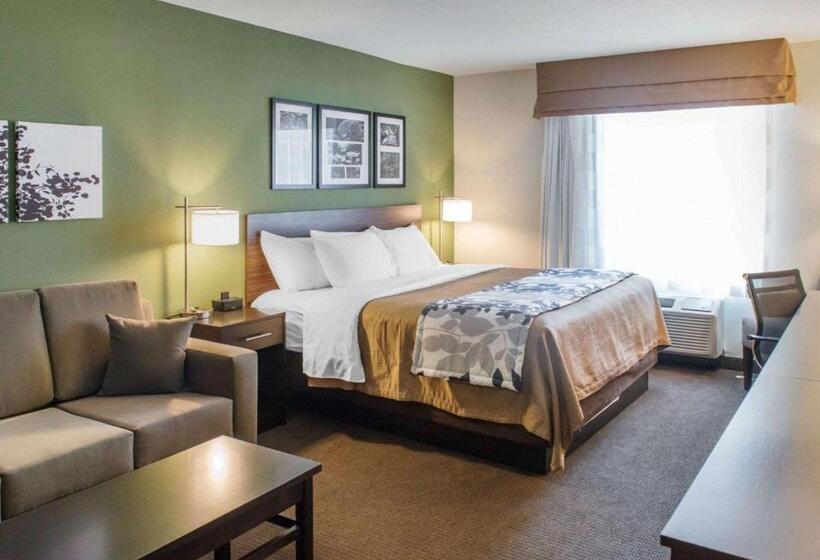 جناح سرير كينج, Sleep Inn & Suites Defuniak Springs  Crestview