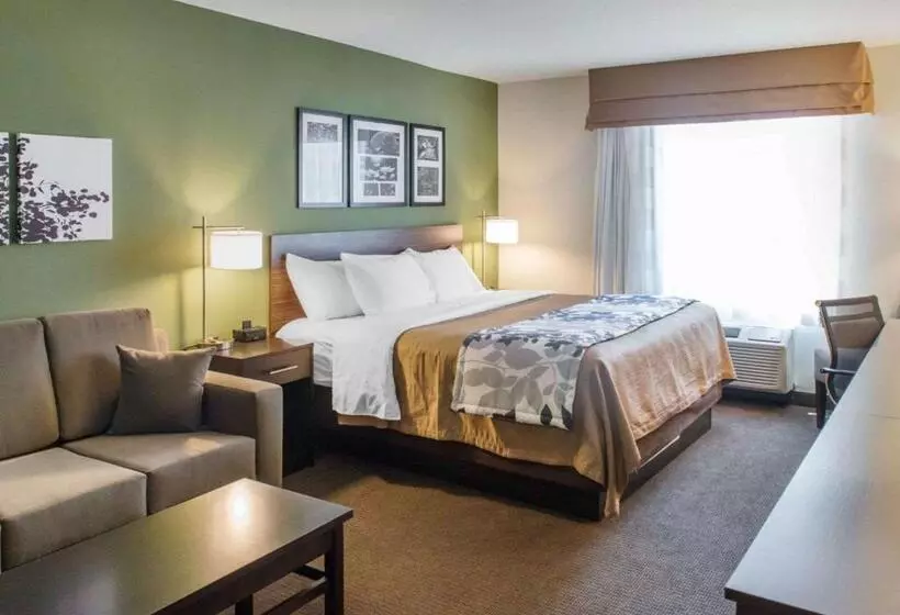 キングサイズベッドのスイートルーム, Sleep Inn & Suites Defuniak Springs  Crestview