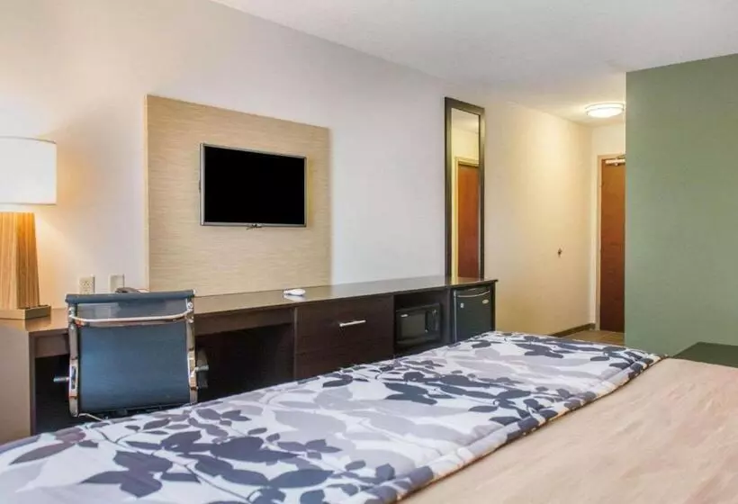キングサイズベッドのスイートルーム, Sleep Inn & Suites Defuniak Springs  Crestview