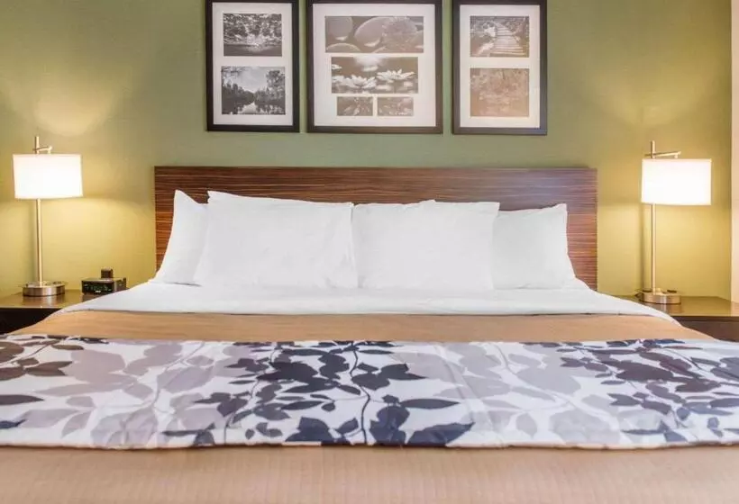 キングサイズベッドのスイートルーム, Sleep Inn & Suites Defuniak Springs  Crestview