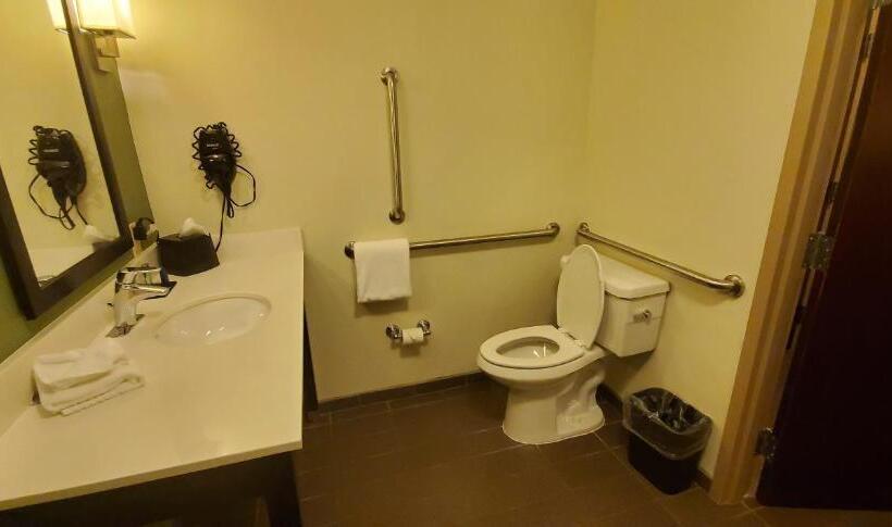 غرفة قياسية سرير كينج لذوى الإحتياجات الخاصة, Sleep Inn & Suites Defuniak Springs  Crestview