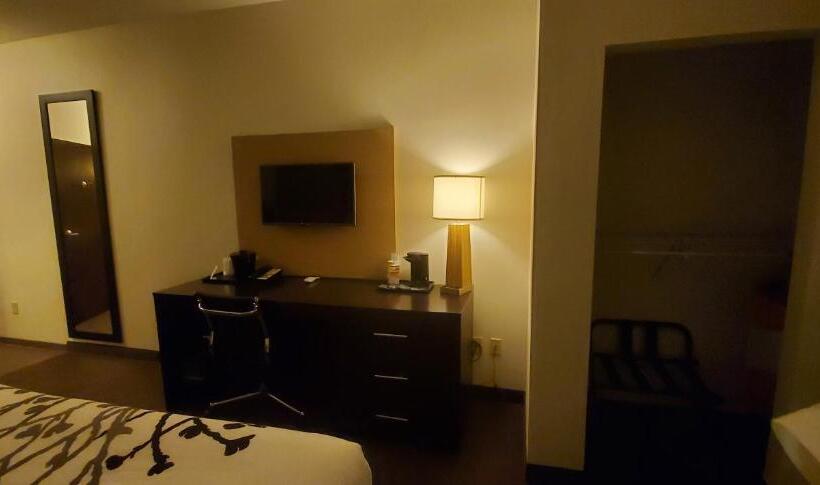 غرفة قياسية سرير كينج لذوى الإحتياجات الخاصة, Sleep Inn & Suites Defuniak Springs  Crestview