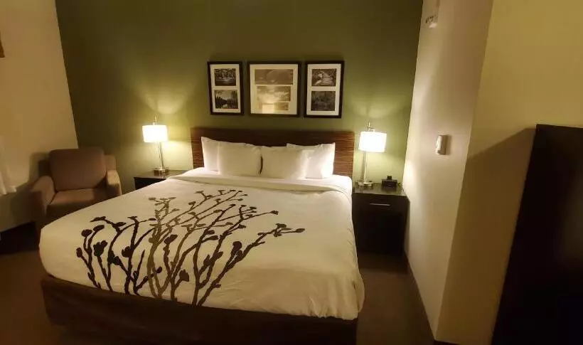 身障者適用キングサイズベッドルーム, Sleep Inn & Suites Defuniak Springs  Crestview