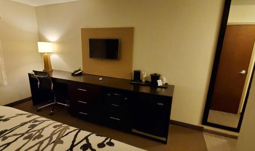غرفة قياسية سرير كينج لذوى الإحتياجات الخاصة, Sleep Inn & Suites Defuniak Springs  Crestview