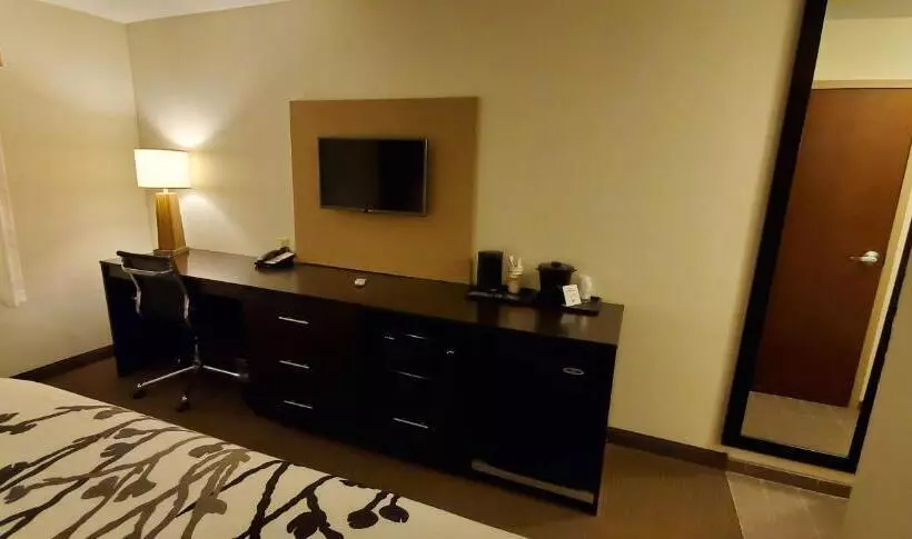 身障者適用キングサイズベッドルーム, Sleep Inn & Suites Defuniak Springs  Crestview