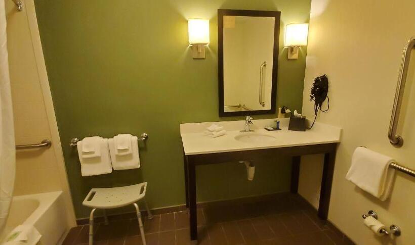 غرفة قياسية سرير كينج لذوى الإحتياجات الخاصة, Sleep Inn & Suites Defuniak Springs  Crestview