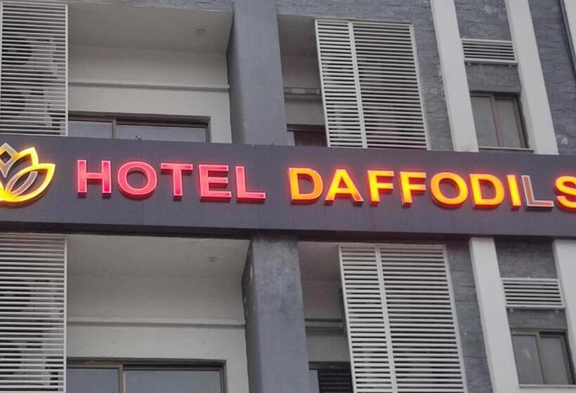 اتاق لوکس, Daffodils