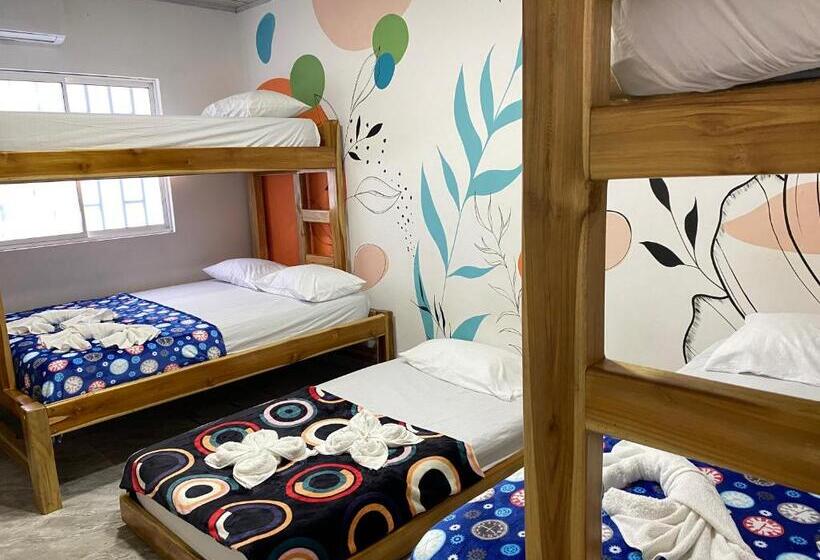 ファミリールーム, Hostal Las Flores