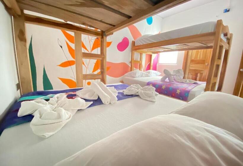 ファミリールーム, Hostal Las Flores