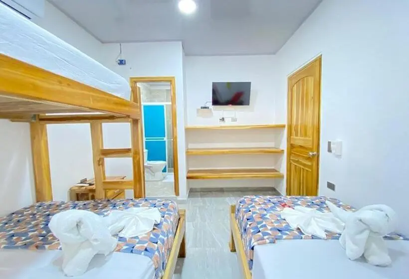 Classic Neljän Hengen Huone, Hostal Las Flores