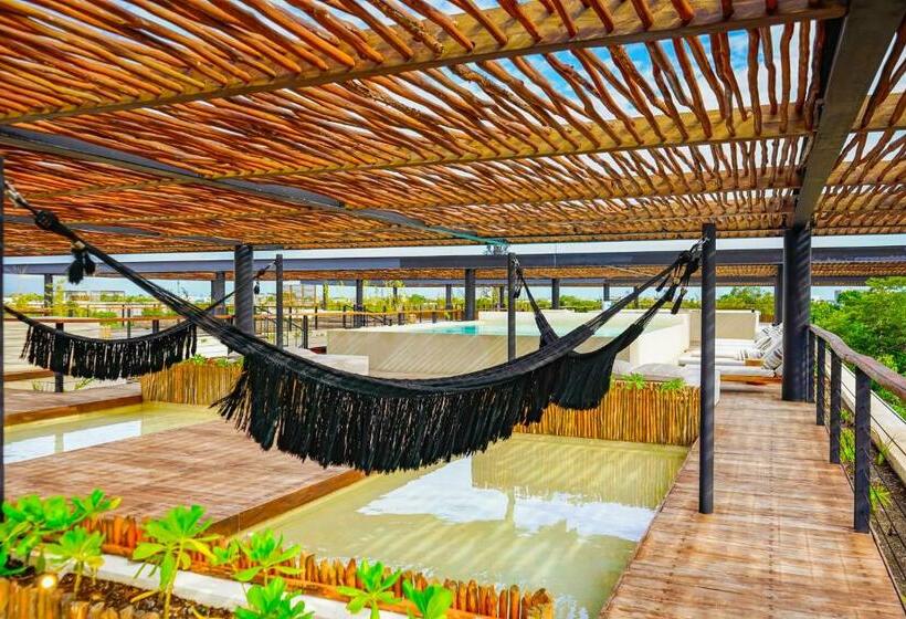 استودیوی استاندارد, Amelia 104 Studio