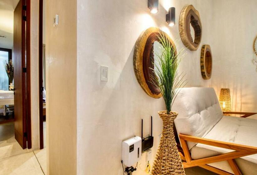 استودیوی استاندارد, Amelia 104 Studio