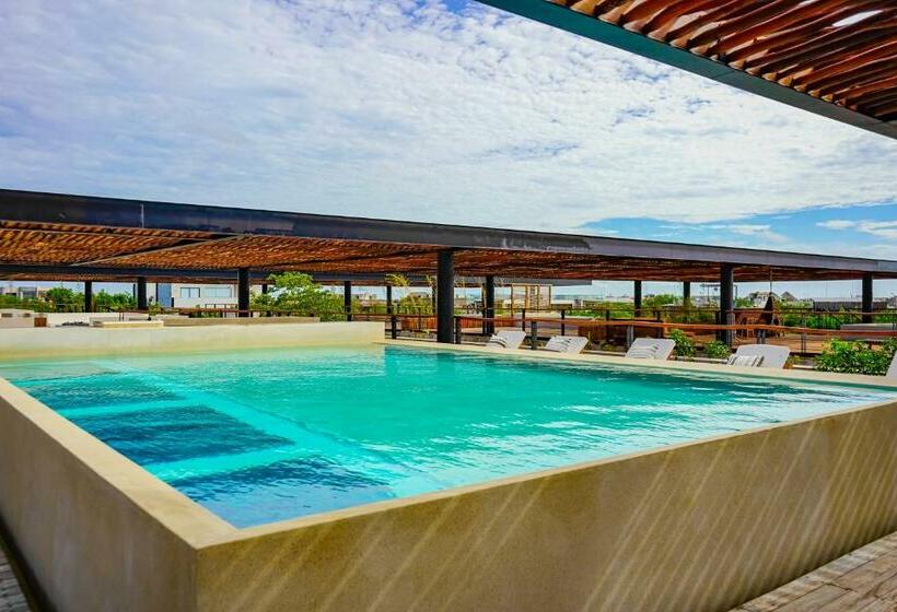 استودیوی استاندارد, Amelia 104 Studio